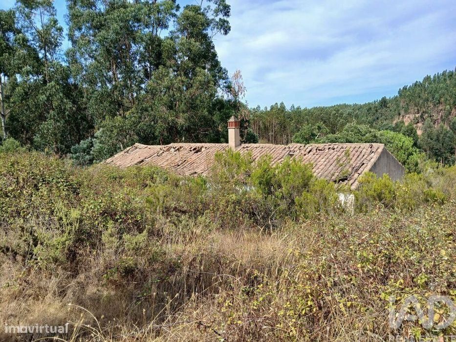 Quinta rural T1 em Sabóia de 80 m2