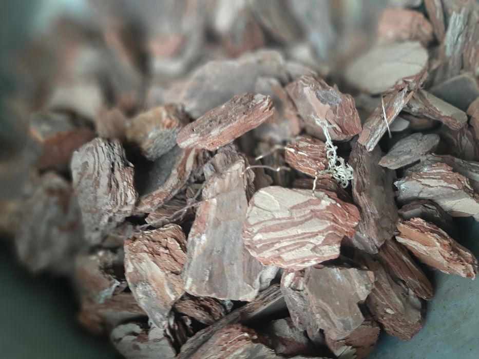 Кора ФЛОРИН доя орхідей