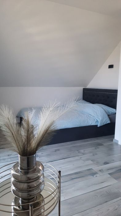 Domek Mazury domki letniskowe  jacuzzi sauna basen kajaki