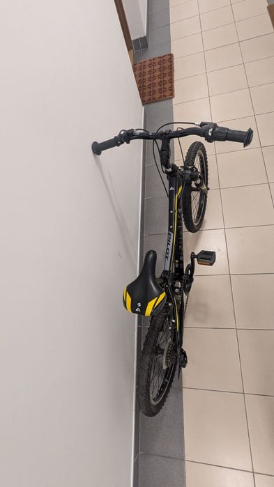 Rower unibike pilot 20"