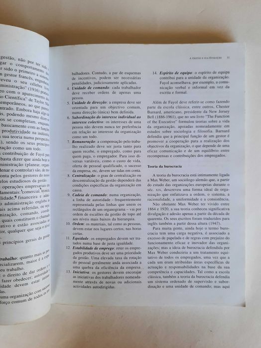 Gestão das Organizações