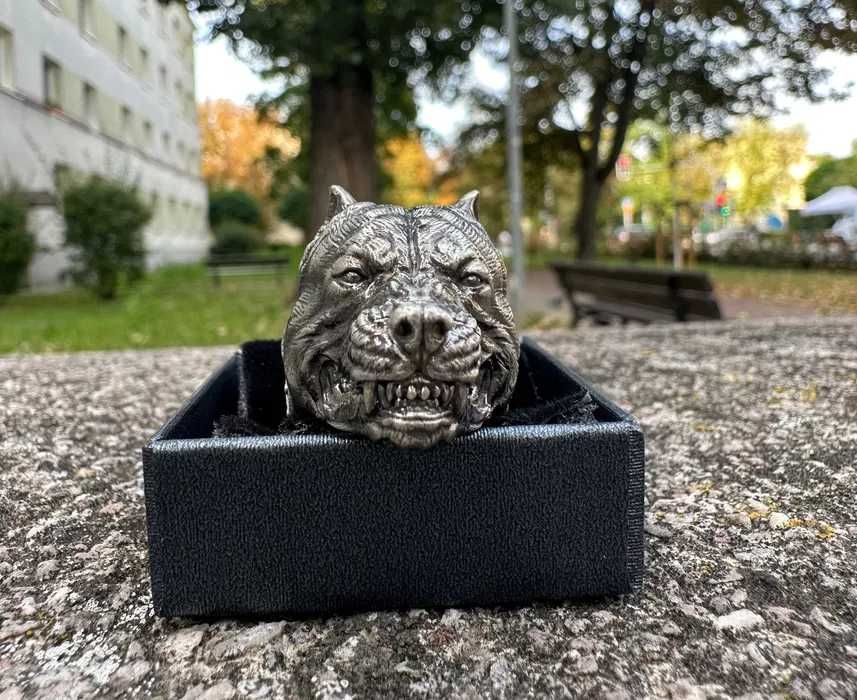 Srebrny sygnet pitbull pierścień
