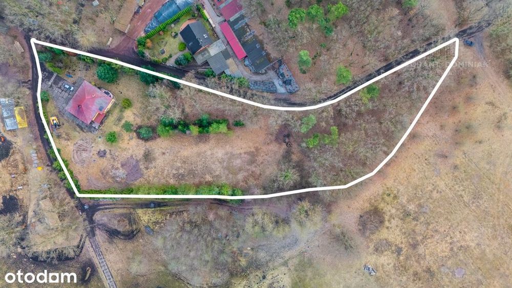 Przestronny dom z dużą działką – Dębostrów