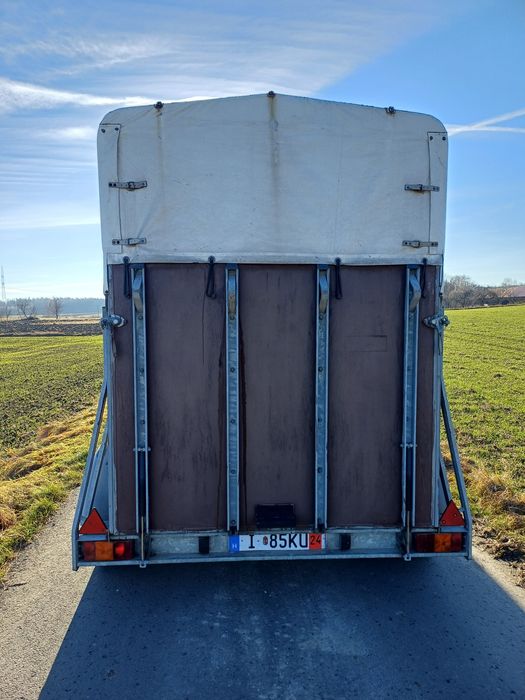 Przyczepa na konie böckmann 98rok z Niemiec