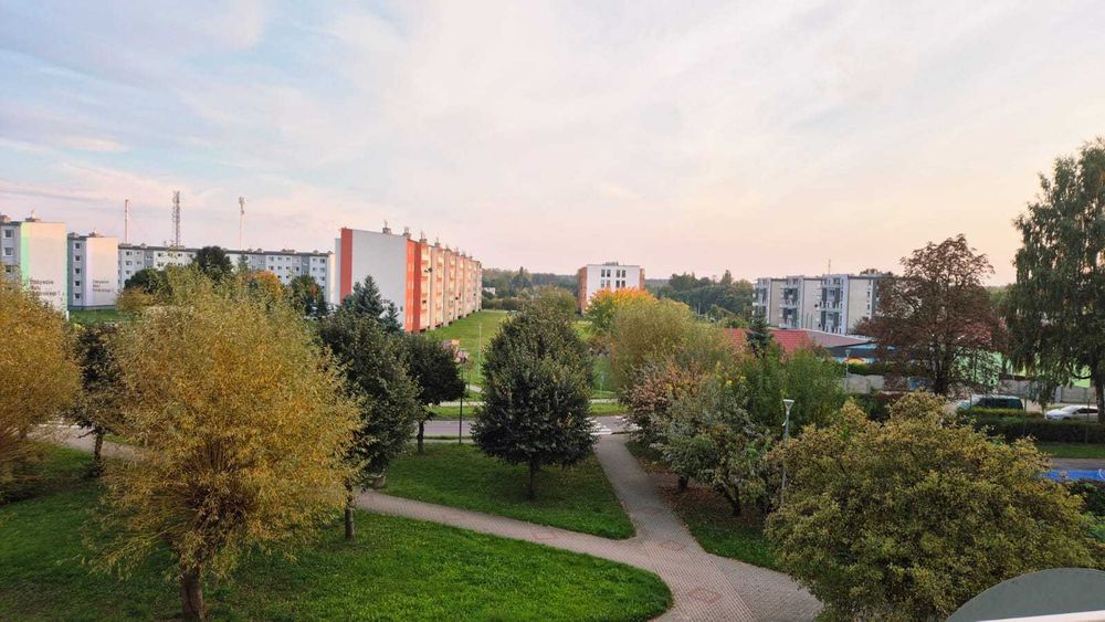 Mieszkanie do wynajęcia