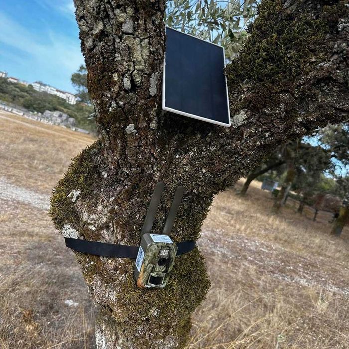 Câmera de Caça/Trilha com painel solar - Cartão de dados 4G