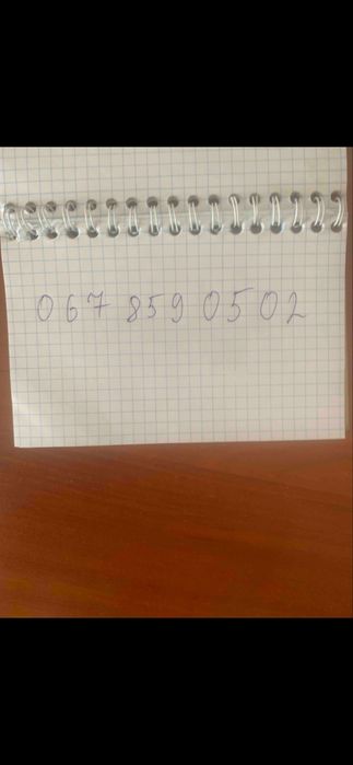 Продам дві тільні телиці