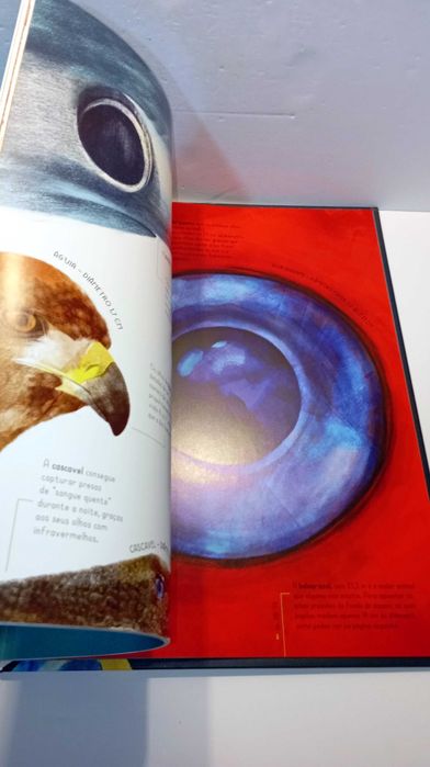 100% animais em Tamanho Real