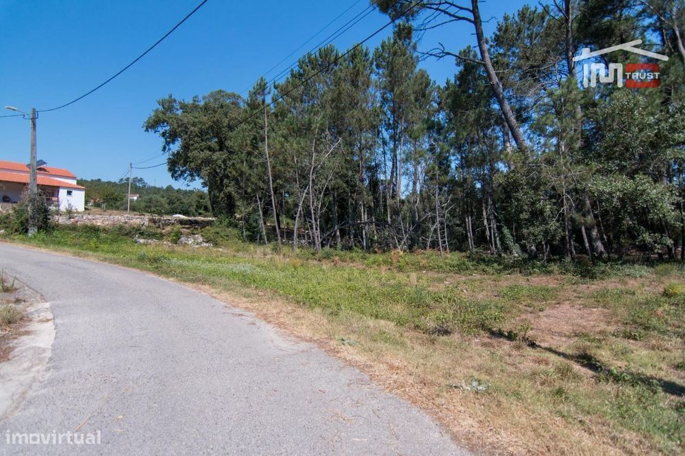 Rustic Plot of 680 m² with Pine Forest and Cultivable Land