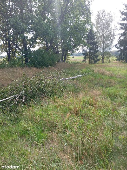 Działka budowlana przy rzece Bóbr, 6793 m² - Widok 3