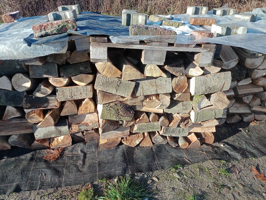Drewno opałowe, Dąb, Buk, Sosna