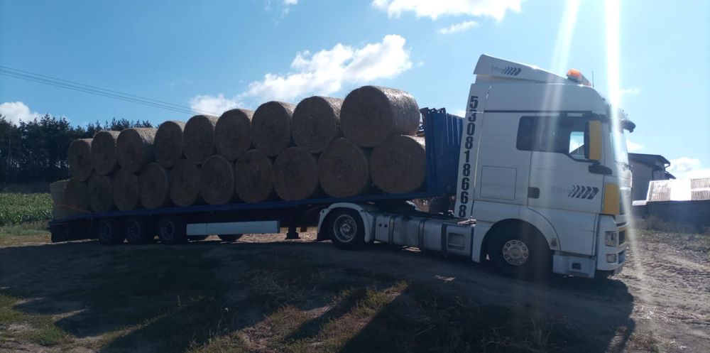 Oferuję transport niskopodwoziowy