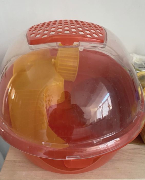 habitat para hamster/ tartarugueira