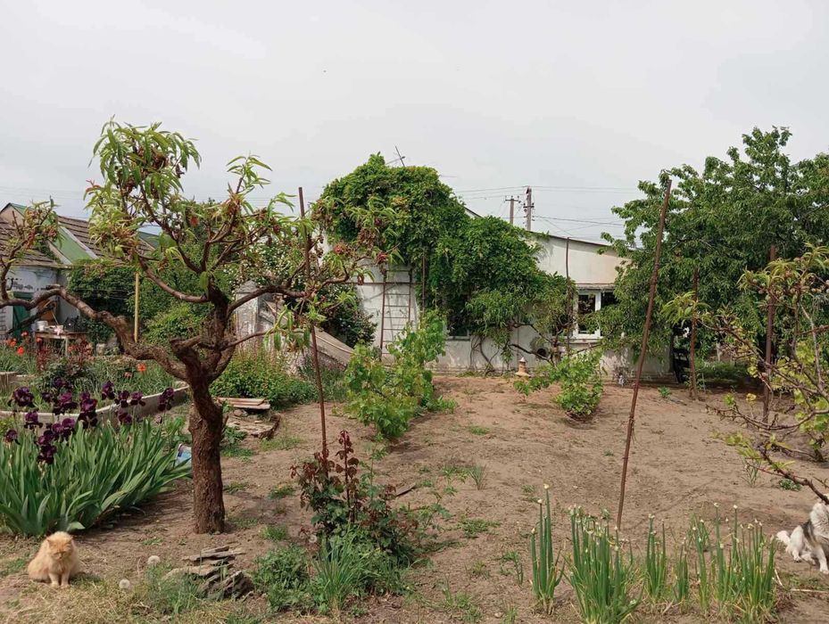 Продаю просторий будинок в Мішково-Погорєлове