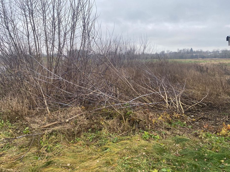 Земельна ділянка