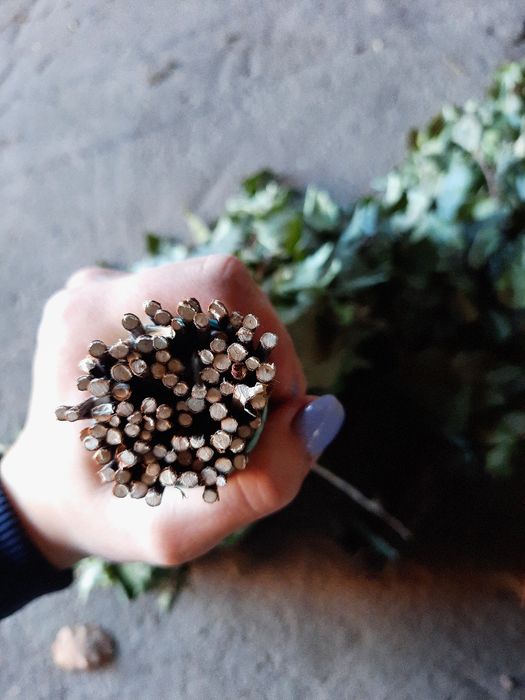 Веники для бани/ Віники для бані