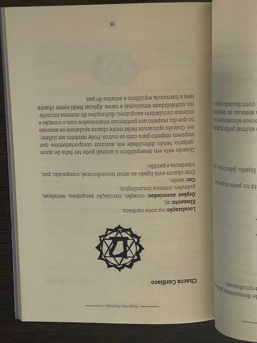 Reiki  - Olívia Morais Pimentel