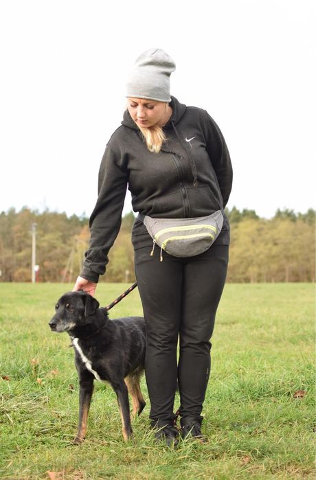 Topik nie ma czasu czekać - podaruj ciepły dom - adoptuj