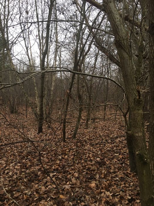Sprzedam dzialke 10.600M2