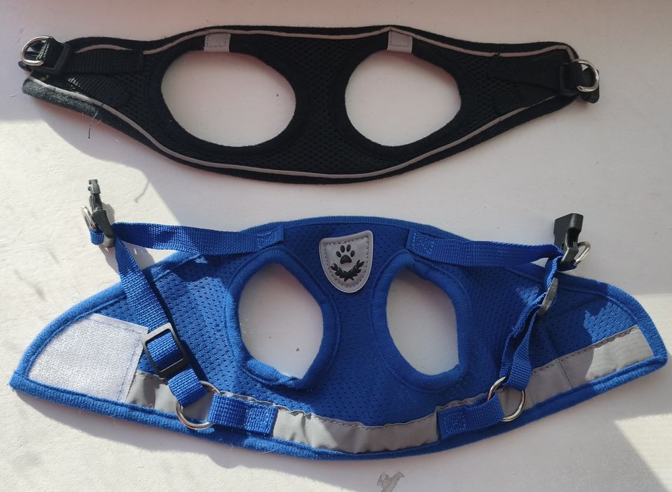 Шлейка для маленьких собак