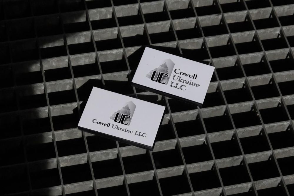 дизайн логотипів візиток банерів логобуки брендбуки