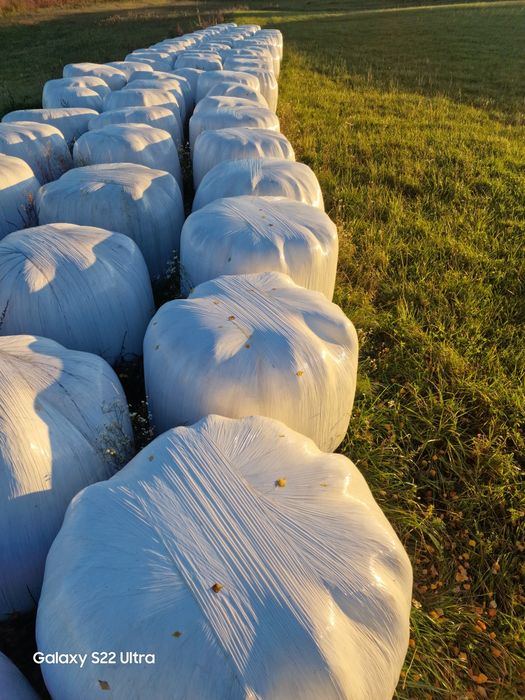 Baloty 2025 Sianokiszonka