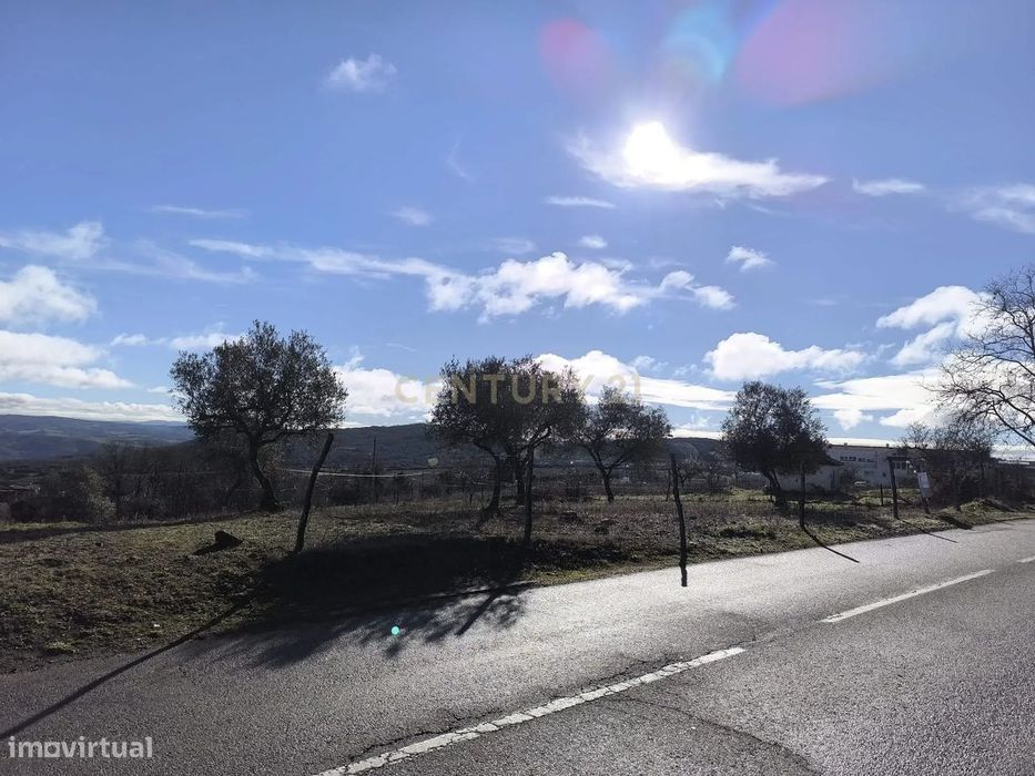 Terreno Rústico em Bragança - Oportunidade Única por 80.000€
