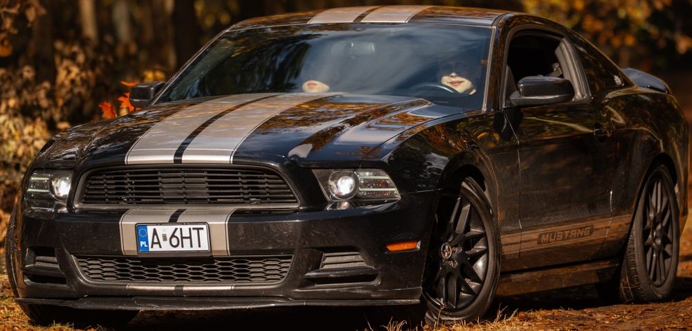 Ford Mustang 2014 MANUAL