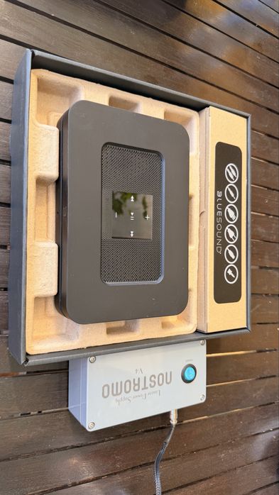 Odtwarzacz sieciowy/ streamer Bluesound Node 2i