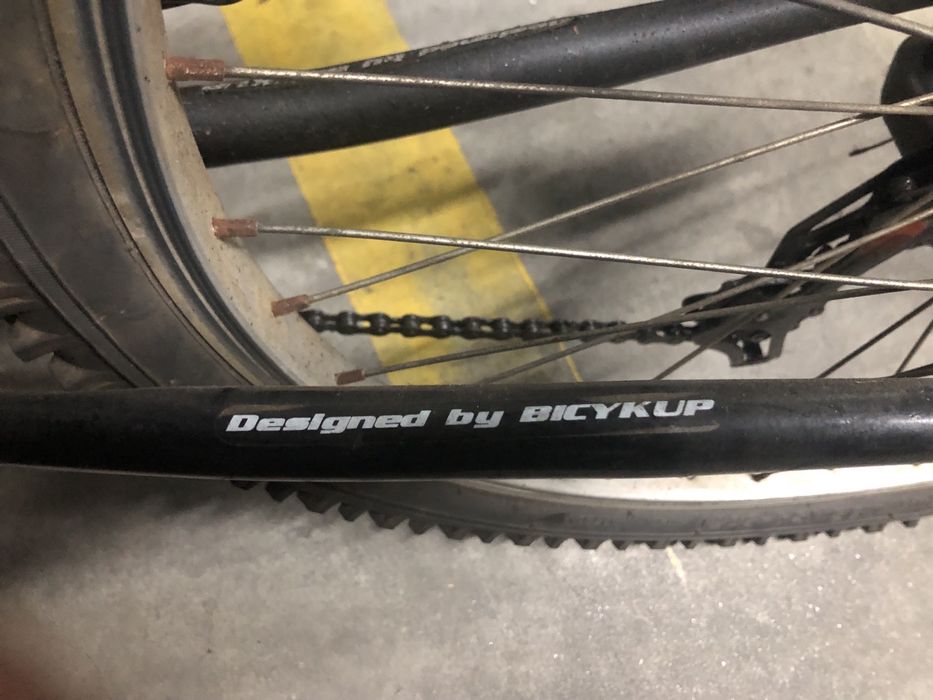 Bicicleta júnior