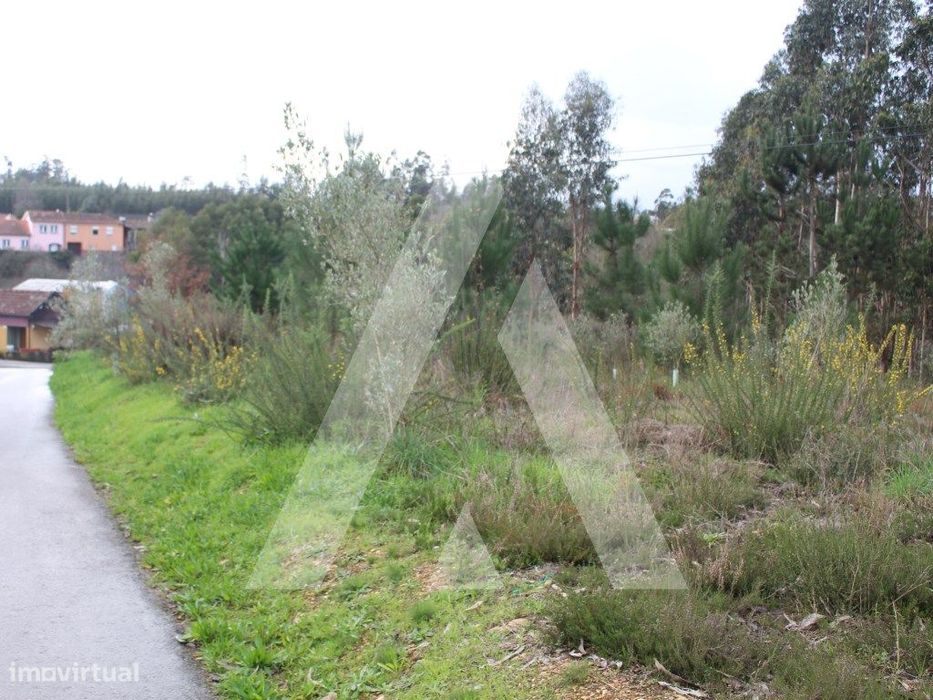 Terreno para Construção — Angeja, Aveiro