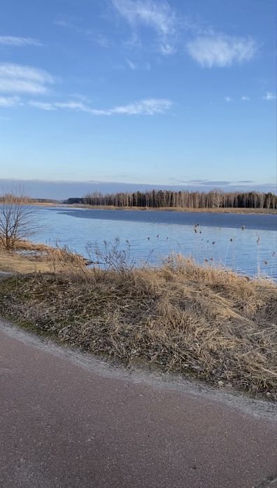 Земельня ділянка 1 лінія с. Страхолісся 30 соток