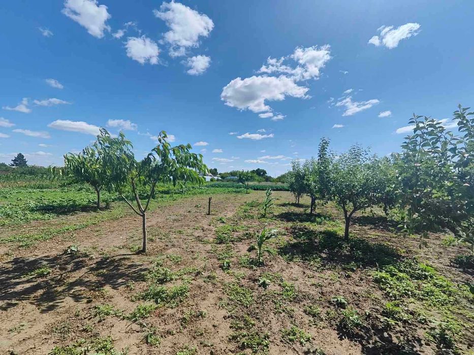 ПРОДАМ будинок в с.Біленьке,  с.Беленькое