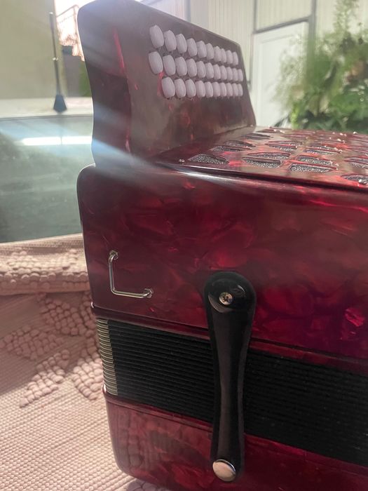 Vendo Concertina Nova