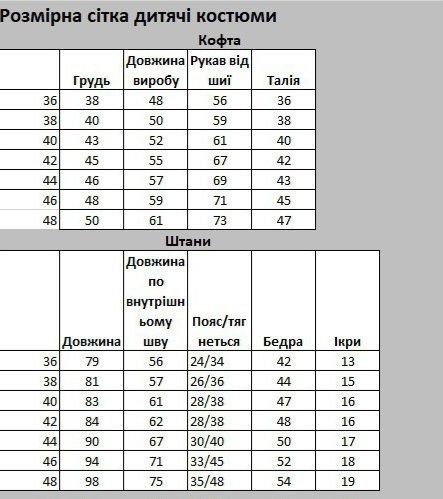 Теплий дитячий спортивний костюм Адідас на флісі для хлопчика Adidas утеплений