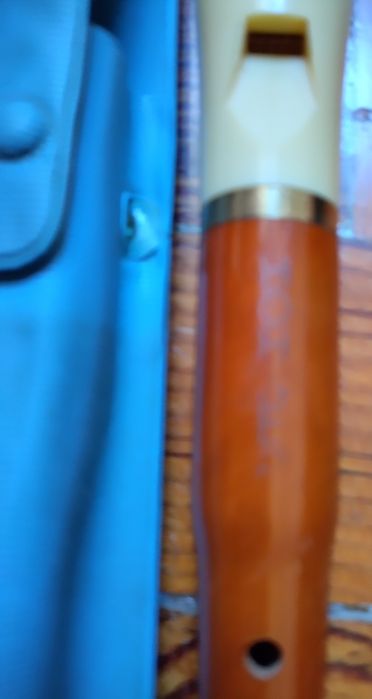 Flauta de Bisel.  .445636533646807042