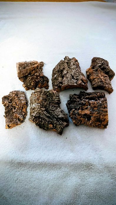 Kora korkowa do terrarium