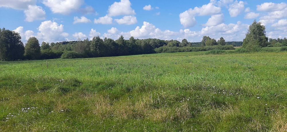 Działka z Warunkami Zabudowy
