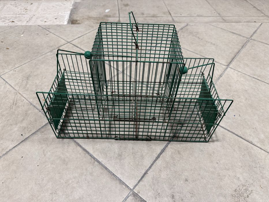 Armadilha/Gaiola para Captura de Pássaros – Em Bom Estado