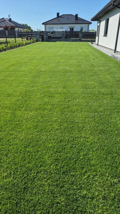 Trawa z rolki premium