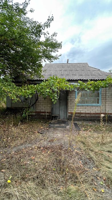 Продаж будинку під ремонт в 15 хвилинах від Кременчука біля річки (Щербаки), 22 сот