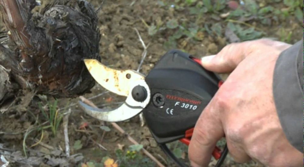 Tesoura de poda Eletrica