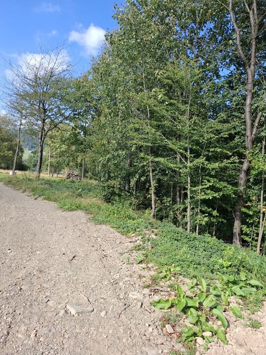 Działka w Wysowej- Zdroju