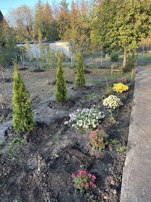 Продам дачу біля лісу