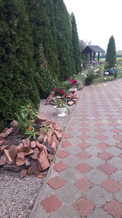 Продам будинок с.Лукашівка - View 6