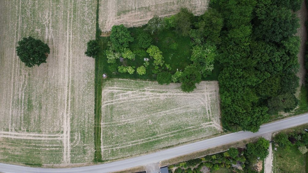 Łęczyca działka siedliskowa o powierzchni 4861 m²