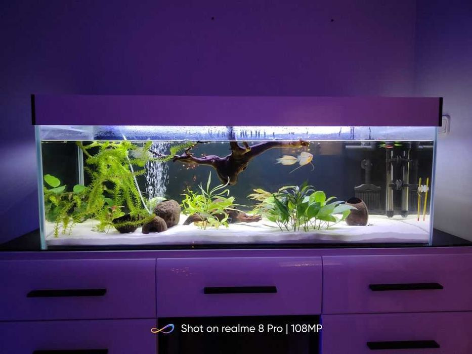 Akwarium 80x40x50 - 160 Litrów Float