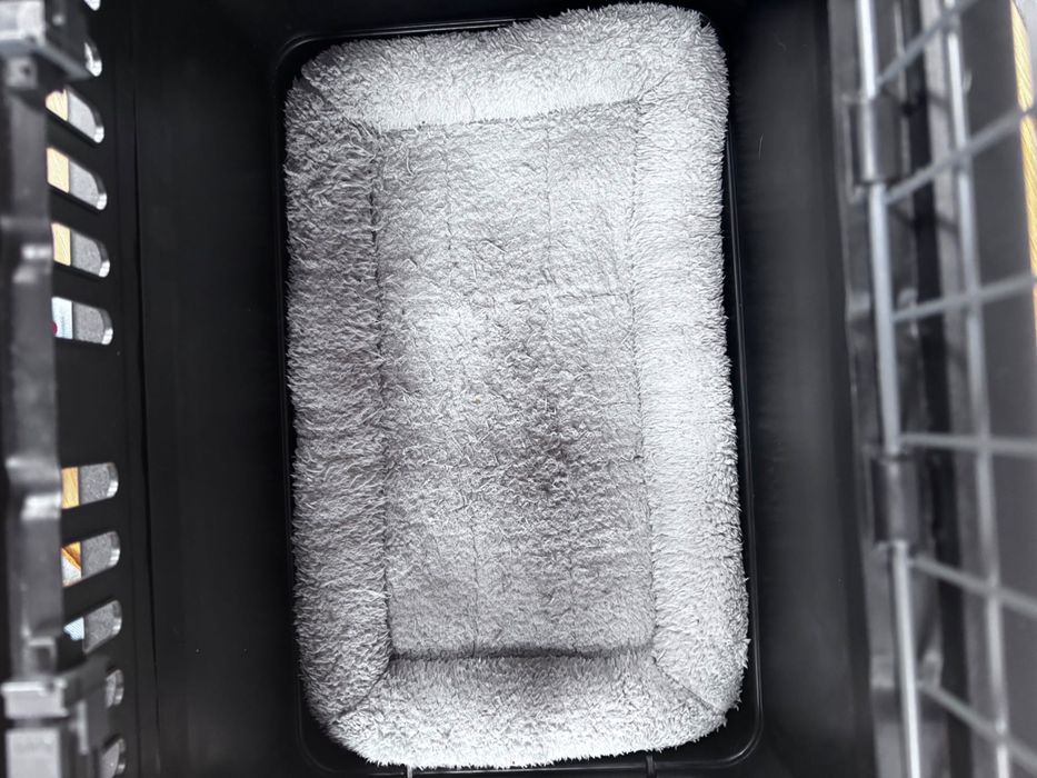 Transporter dla psa AniOne