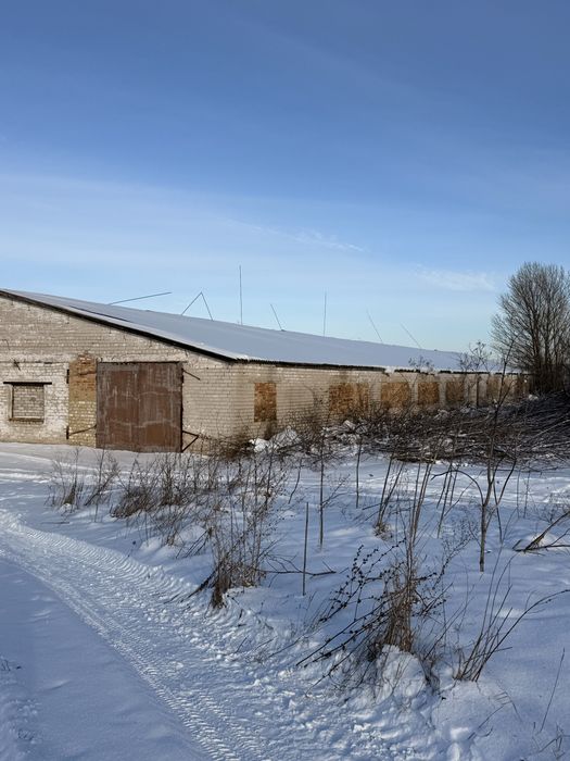 Продам склад, ферма, ангар, приміщення, цех