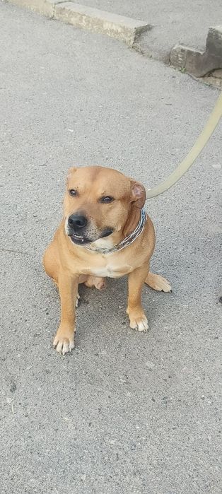 Хлопчик шукає дівчинку